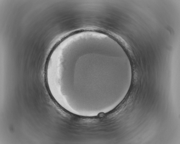 X0000110711327200907241137