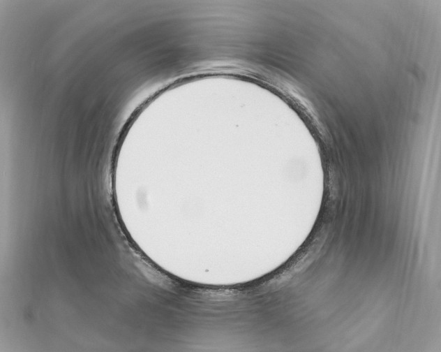 X0000110711328200907241137