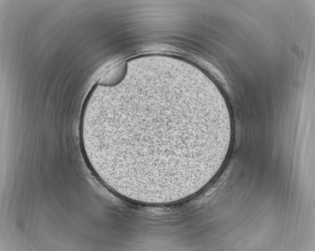X0000110711330200907241137