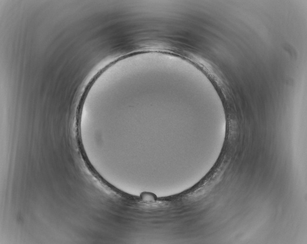 X0000110711331200907241137