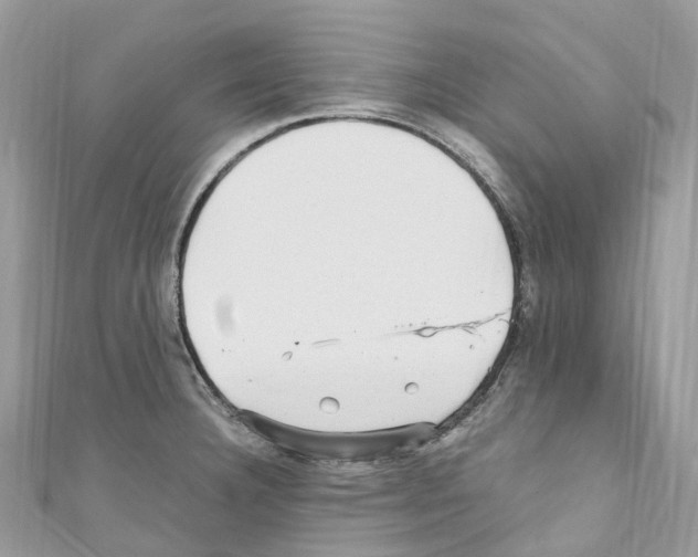 X0000110711332200907241137