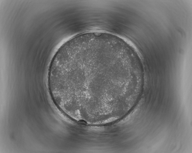 X0000110711333200907241137