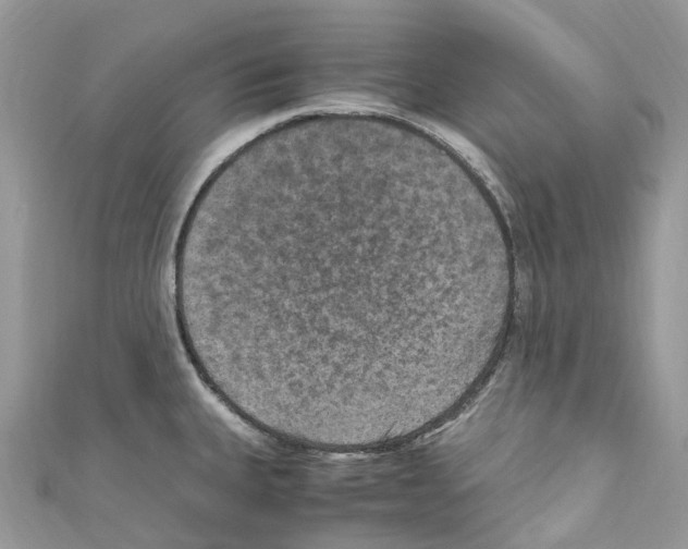 X0000110711335200907241137
