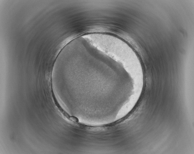 X0000110711337200907241137