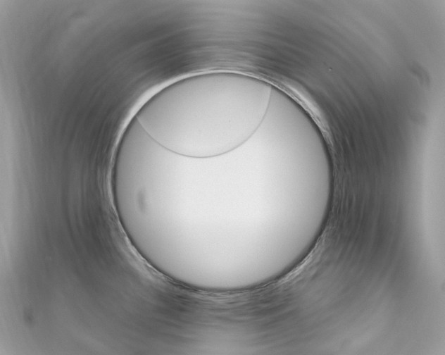 X0000110711340200907241137