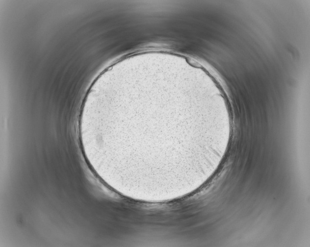 X0000110711341200907241137