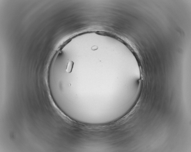 X0000110711342200907241137