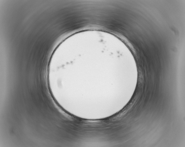 X0000110711343200907241138