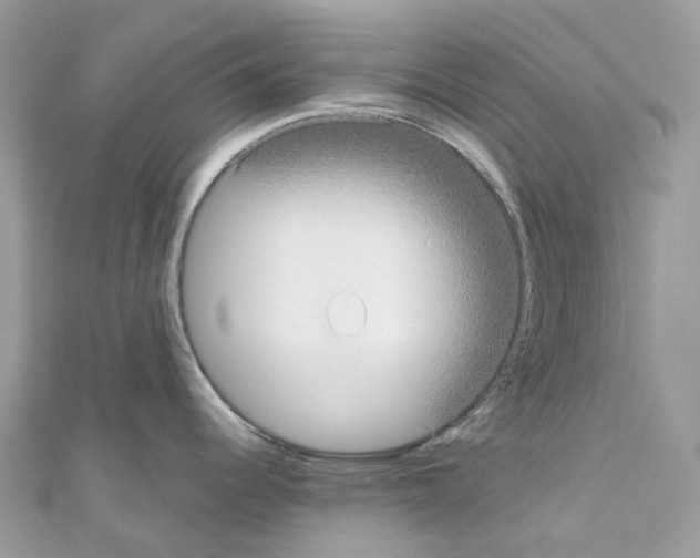 X0000110711344200907241138