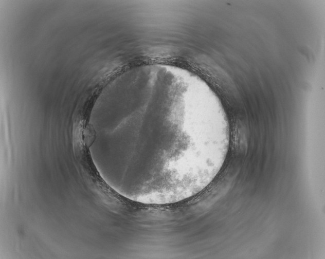X0000110711346200907241137