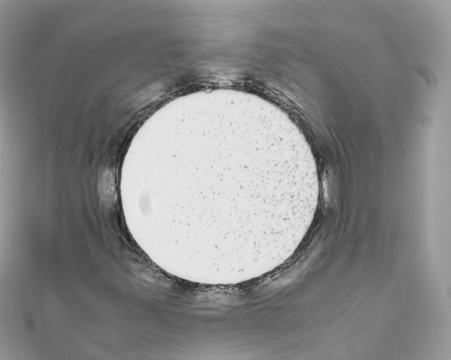 X0000110711347200907241137