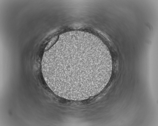 X0000110711349200907241137
