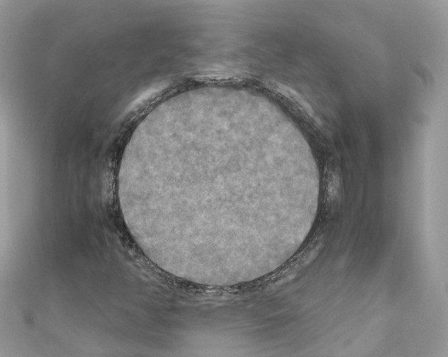 X0000110711350200907241137