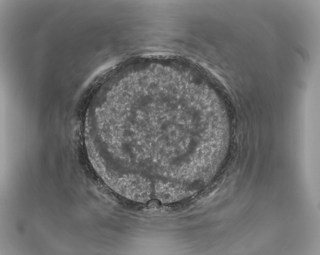 X0000110711351200907241137