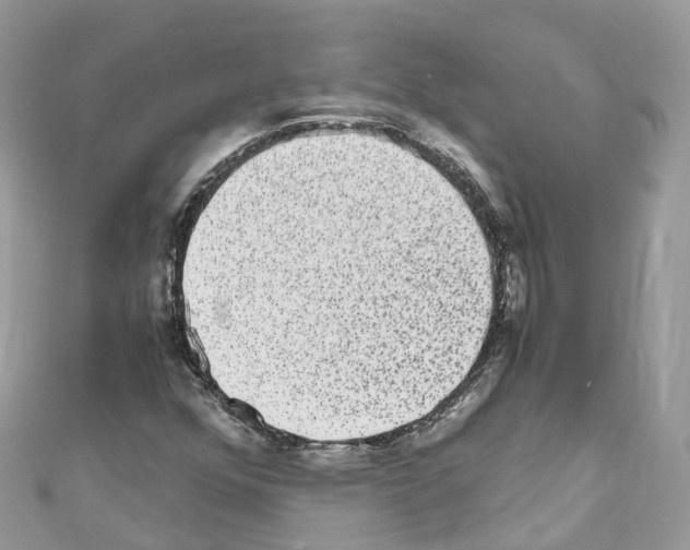 X0000110711352200907241137