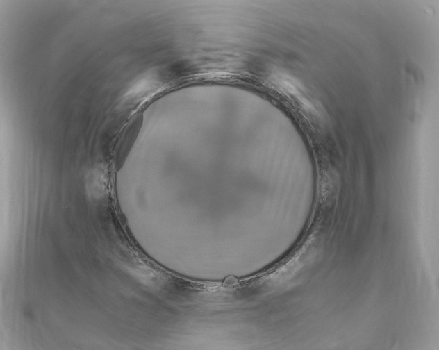 X0000110711353200907241137