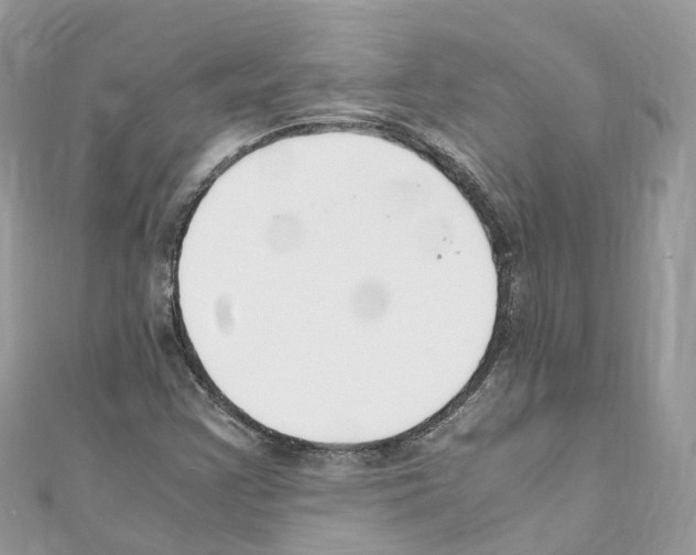 X0000110711355200907241137