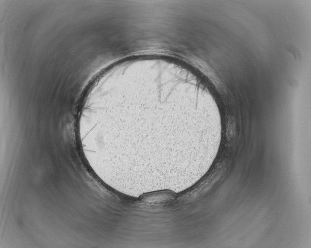 X0000110711356200907241137