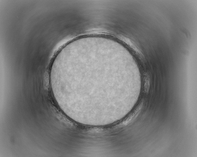 X0000110711358200907241137