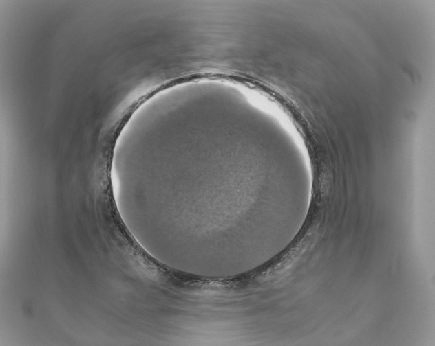 X0000110711359200907241137