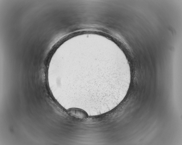 X0000110711360200907241137