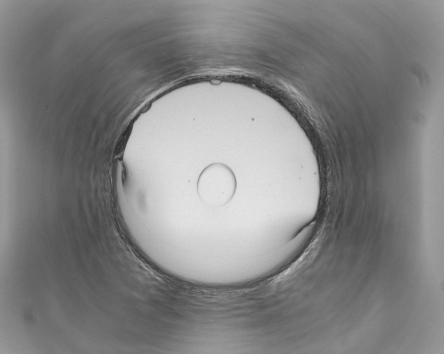 X0000110711361200907241137