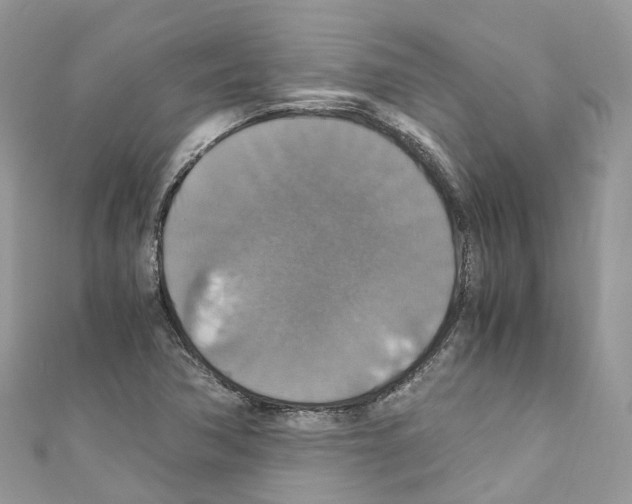 X0000110711362200907241137
