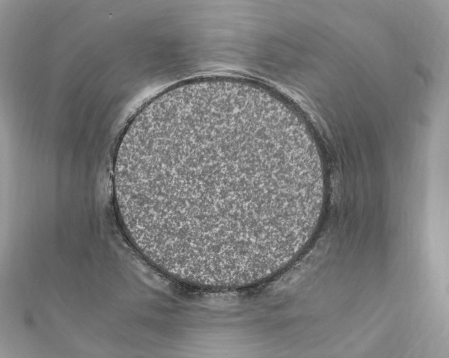X0000110711363200907241137