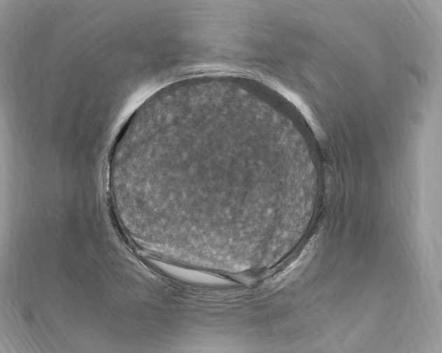 X0000110711365200907241137