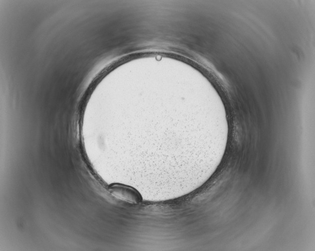 X0000110711368200907241137