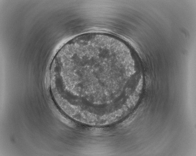 X0000110711371200907241137