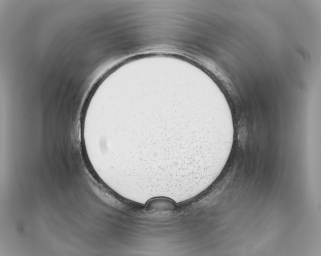 X0000110711372200907241137