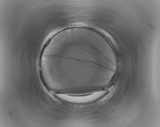 X0000110711373200907241137