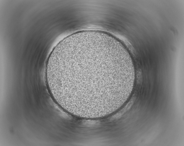 X0000110711374200907241137