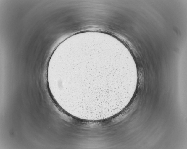 X0000110711375200907241137