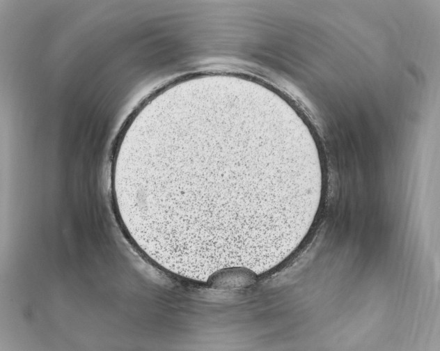 X0000110711376200907241137