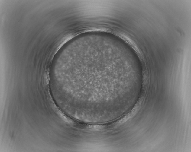 X0000110711377200907241136