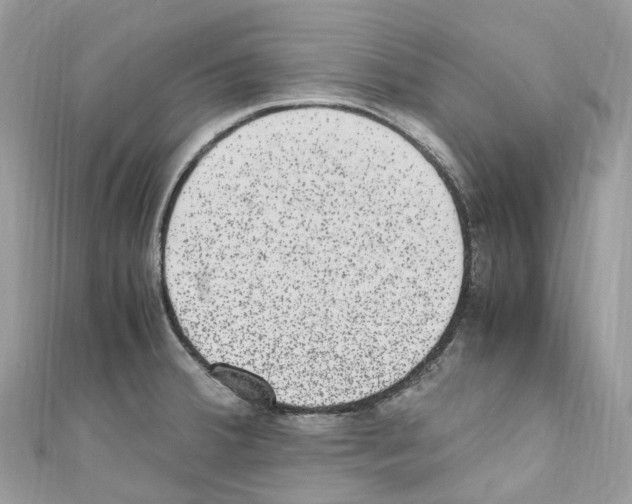 X0000110711380200907241136
