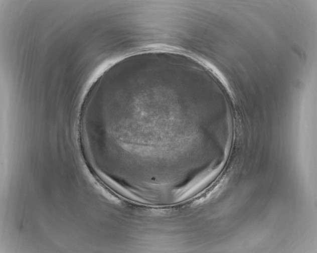 X0000110711381200907241136