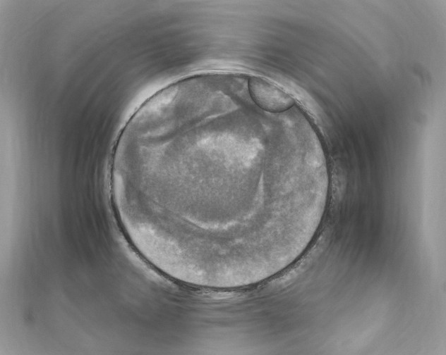 X0000110711382200907241136