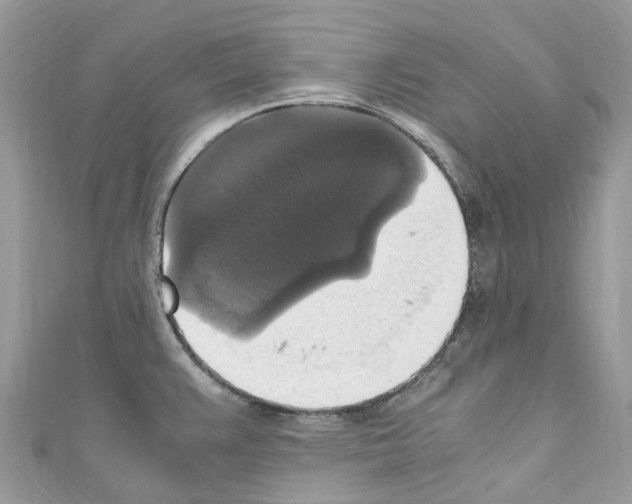 X0000110711383200907241136
