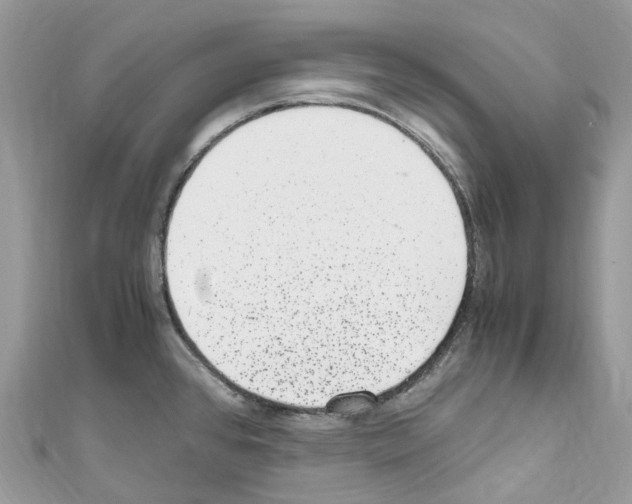 X0000110711384200907241136