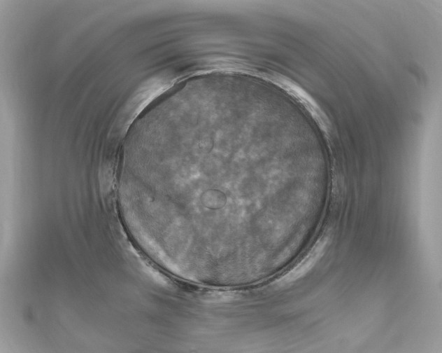 X0000110711385200907241136