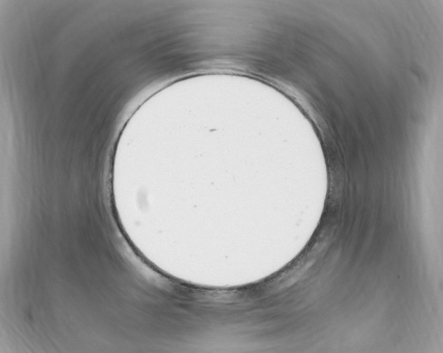 X0000110711387200907241136