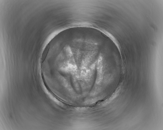 X0000110711389200907241136