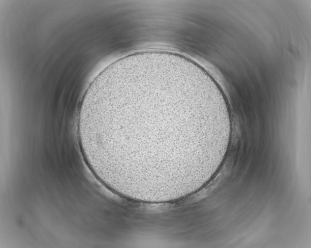 X0000110711390200907241136