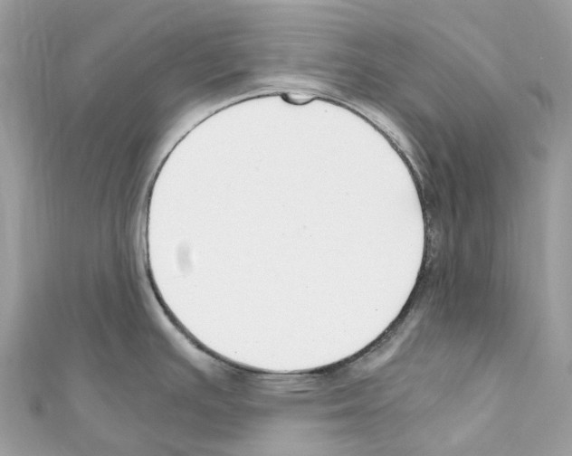 X0000110711391200907241136