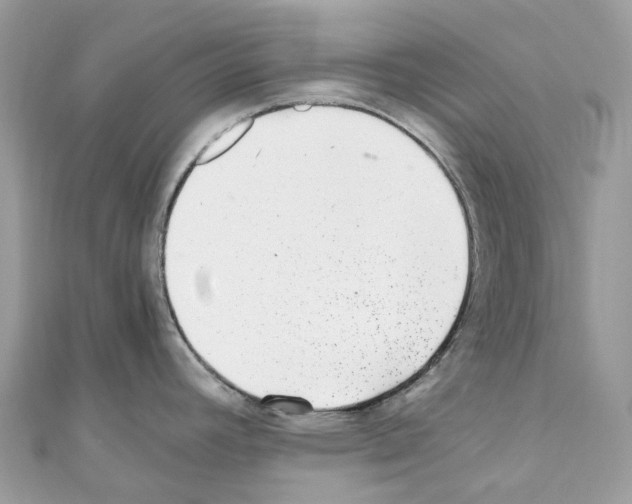 X0000110711392200907241136