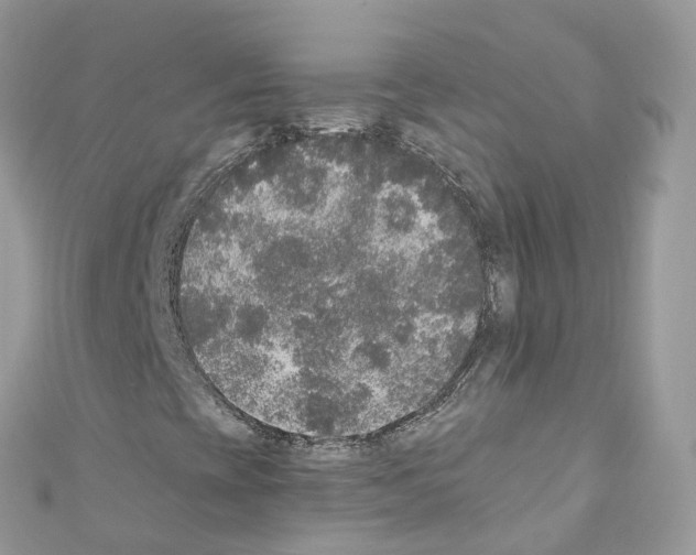 X0000110711393200907241136