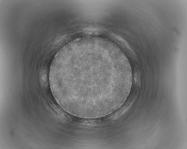 X0000110711396200907241136